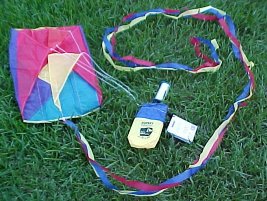 kitesale1.jpg - 24714 Bytes